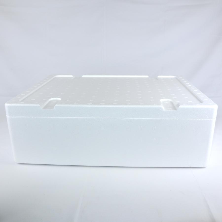 クーラーボックス 発泡スチロール箱 大型 通販 保冷 断熱 梱包材 軽量