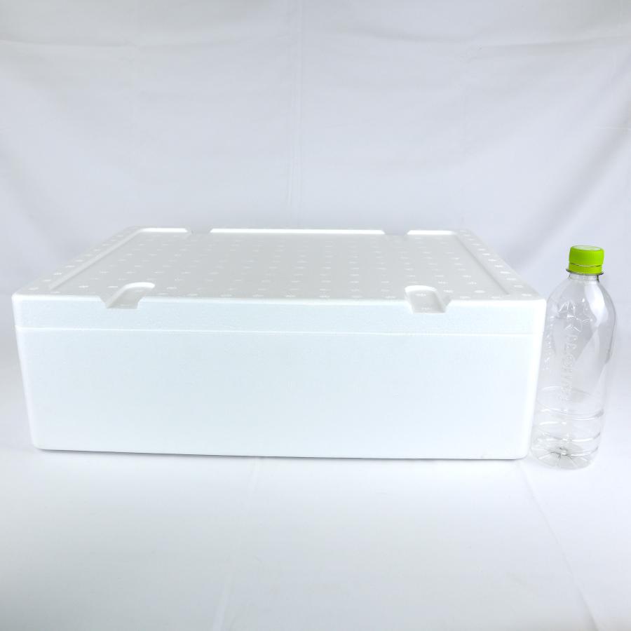 クーラーボックス 発泡スチロール箱 大型 通販 保冷 断熱 梱包材 軽量