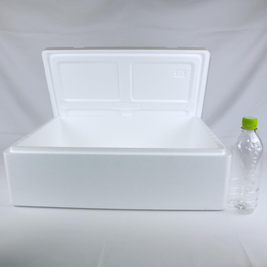 クーラーボックス 発泡スチロール箱 大型 通販 保冷 断熱 梱包材 軽量