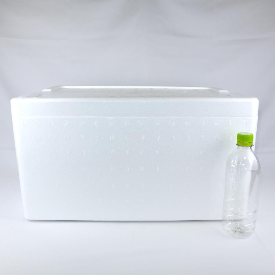 クーラーボックス 発泡スチロール箱 大型 通販 保冷 断熱 梱包材 軽量