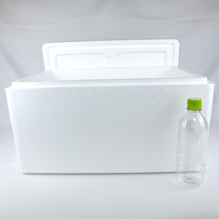 宅急便 発泡スチロール梱包 宅急便 発泡スチロール梱包 宅急便 発泡スチロール梱包 クール便の梱包