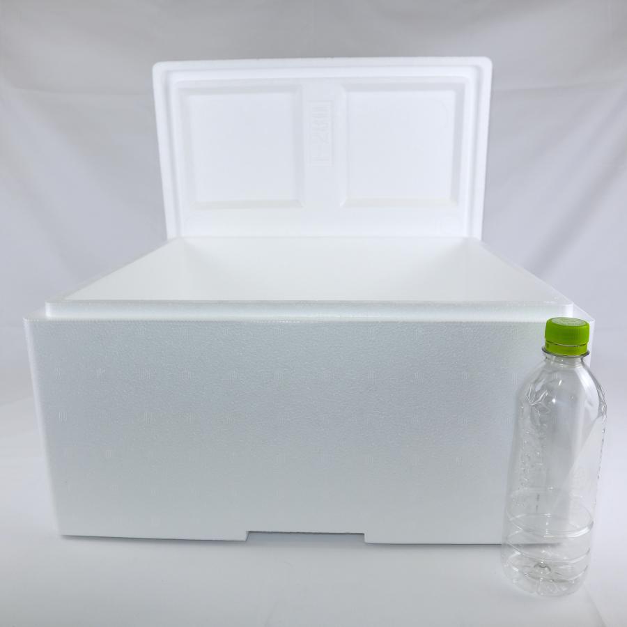 クーラーボックス 発泡スチロール箱 大型 通販 保冷 断熱 梱包材 軽量