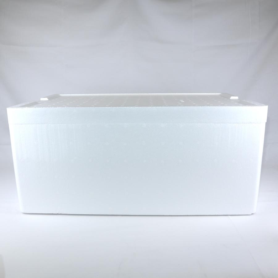 クーラーボックス 発泡スチロール箱 大型 白色 蓋付 33.8L 通販