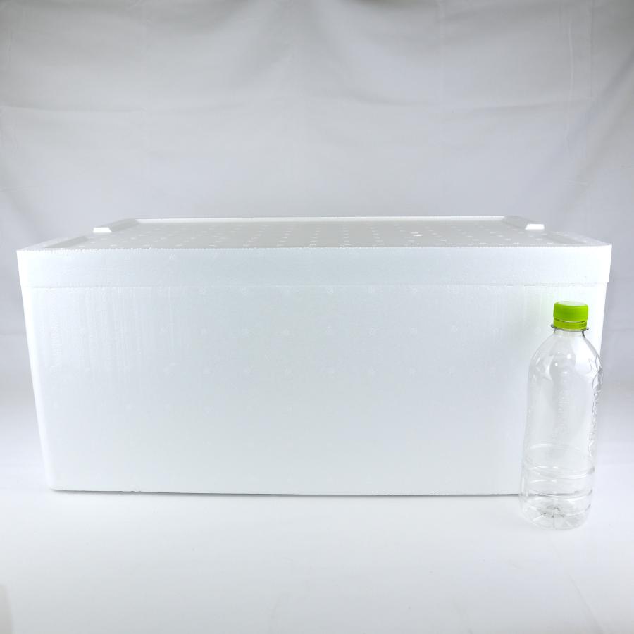 箱無し発送 imgrc0098381388.jpg