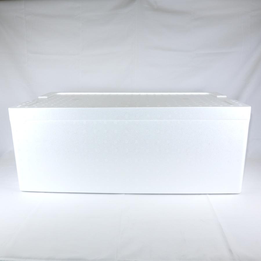 宅急便 発泡スチロール梱包 クーラーボックス 発泡スチロール箱 大型 白色 蓋付 通販 保冷