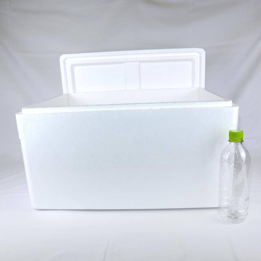 ★9/4-6発送不可★ 三菱ふそう NOxセンサー ファイター 代表型式／FK64FY 純正品番