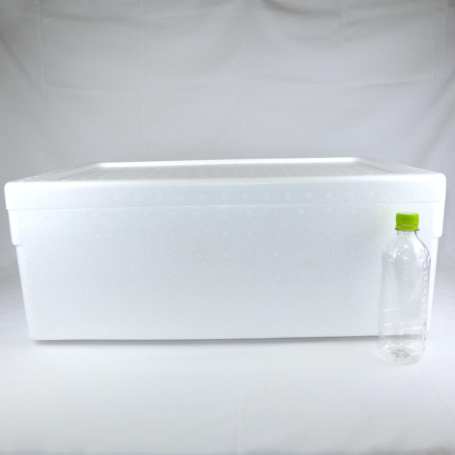 クーラーボックス 発泡スチロール箱 大型 白色 蓋付 通販 保冷