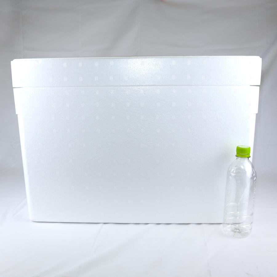 クーラーボックス 発泡スチロール箱 大型 白色 蓋付 通販 保冷