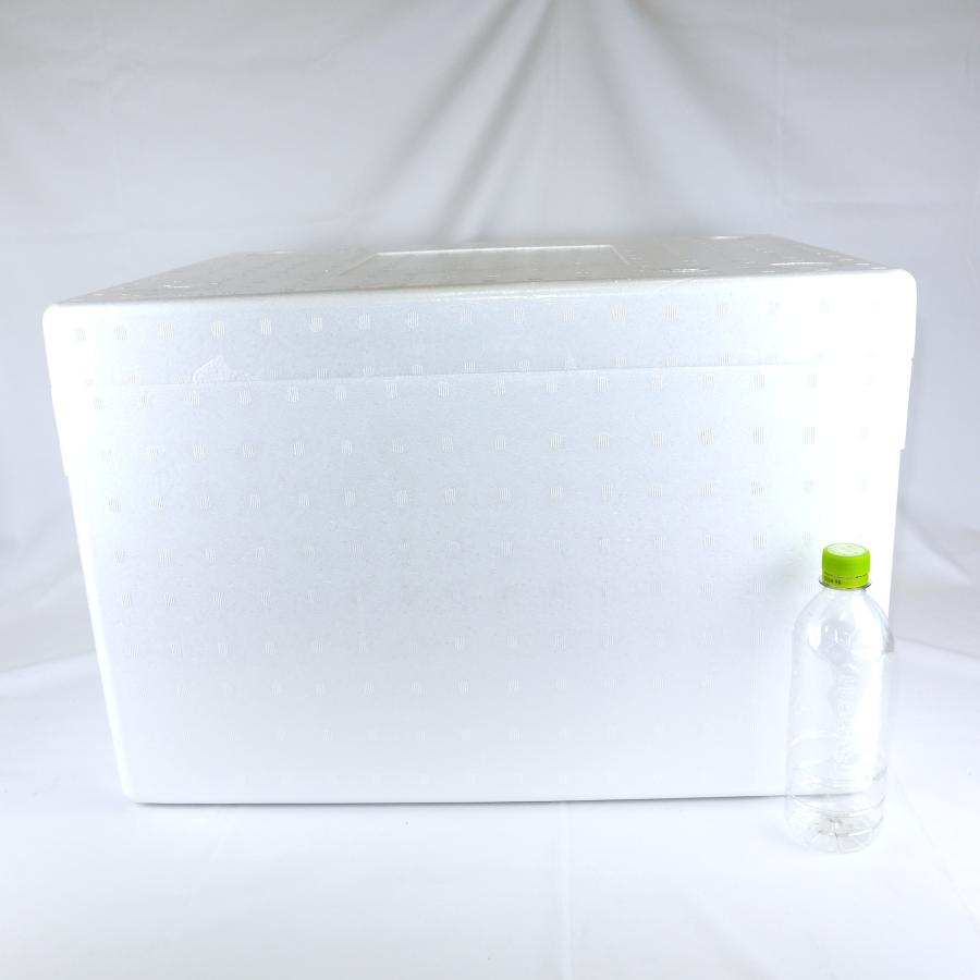 クーラーボックス 発泡スチロール箱 大型 蓋付 通販 保冷 断熱 梱包材