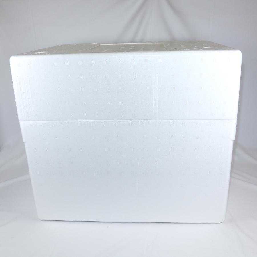 クーラーボックス 発泡スチロール箱 大型 白色 蓋付 断熱 外猫 保護猫