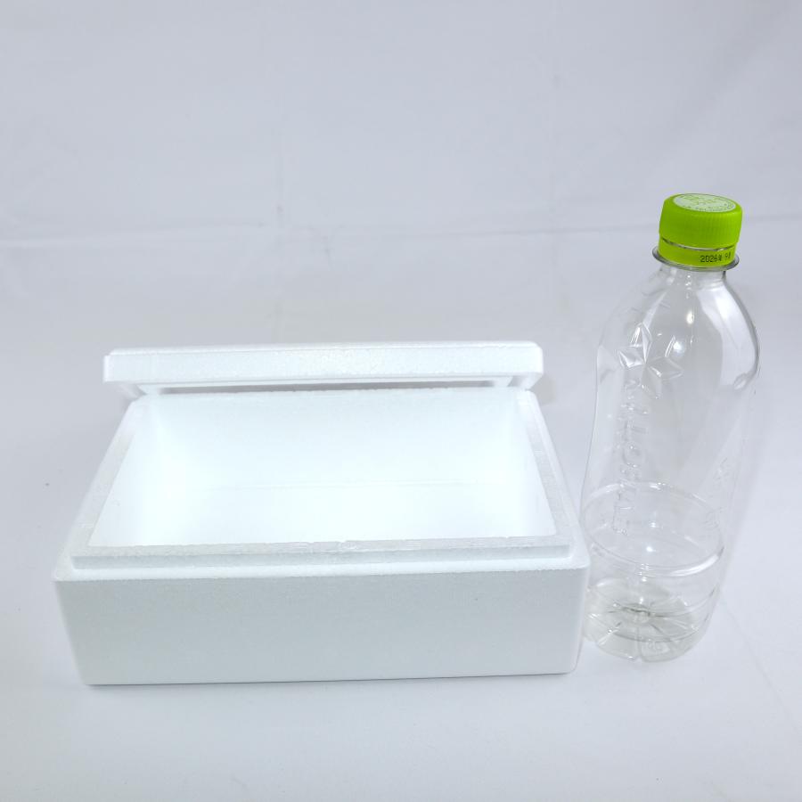 発泡スチロール箱 小型 クーラーボックス 通販 保冷 断熱 梱包材