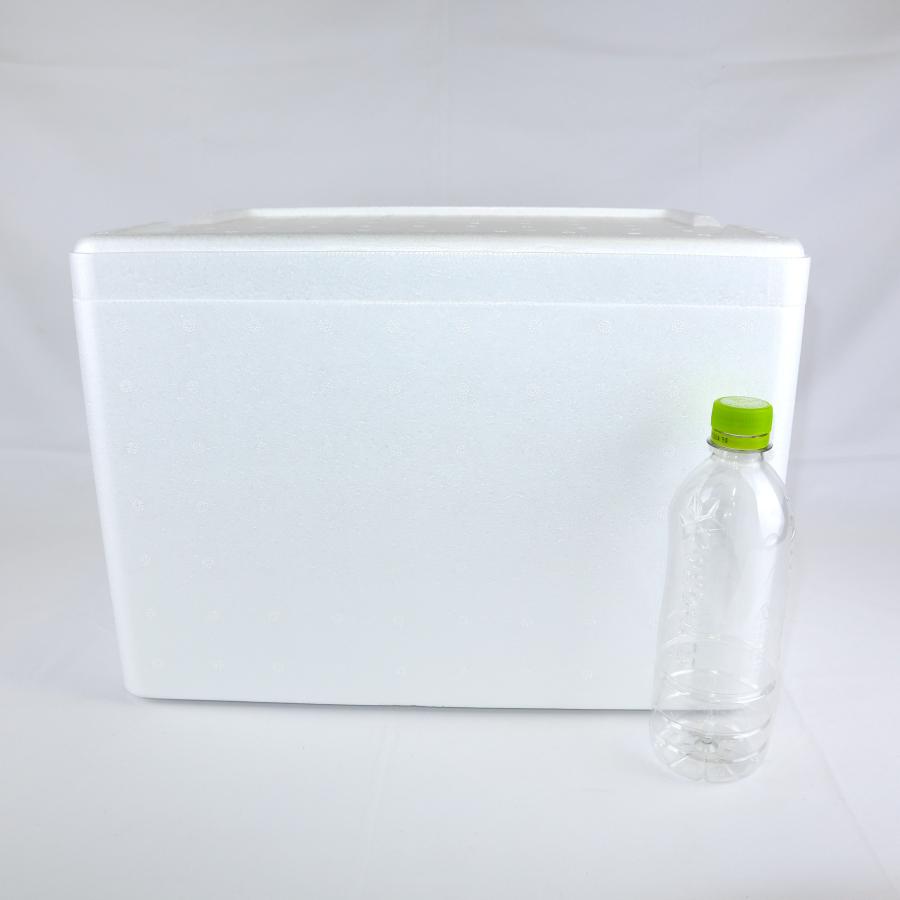 クーラーボックス 発泡スチロール箱 大型 12個セット 法人限定 まとめ買い 保冷 断熱 梱包材 食材保管 宅配 発送用 軽量 24.0L 宅配120サイズ FB-45の画像