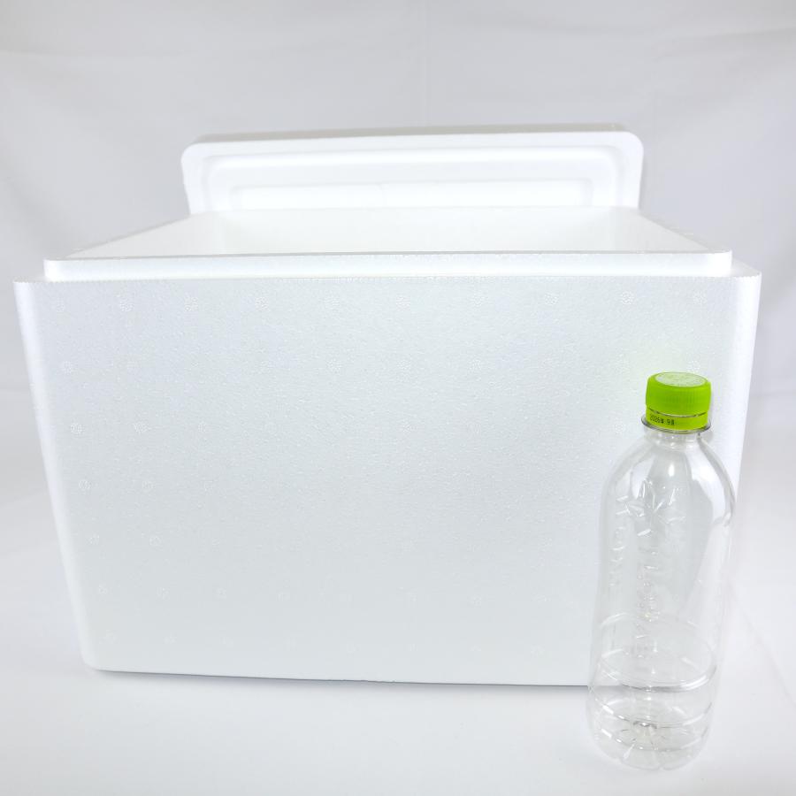 クーラーボックス 発泡スチロール箱 大型 12個セット 法人限定 まとめ買い 保冷 断熱 梱包材 食材保管 宅配 発送用 軽量 24.0L 宅配120サイズ FB-45の画像