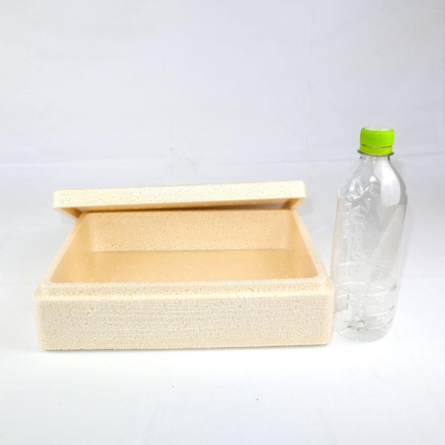 クーラーボックス 発泡スチロール箱 ベージュ 木目調 通販 保冷 断熱