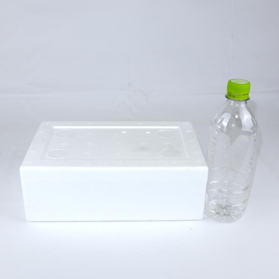 クーラーボックス 発泡スチロール箱 小型 40個セット 法人限定 まとめ買い 保冷 断熱 梱包材 食材保管 宅配 発送用 軽量 2.2L 宅配60サイズ G-1の画像
