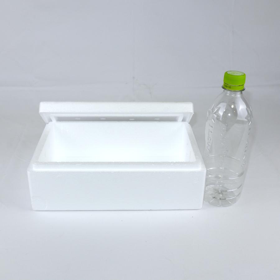 クーラーボックス 発泡スチロール箱 小型 40個セット 法人限定 まとめ買い 保冷 断熱 梱包材 食材保管 宅配 発送用 軽量 2.2L 宅配60サイズ G-1の画像
