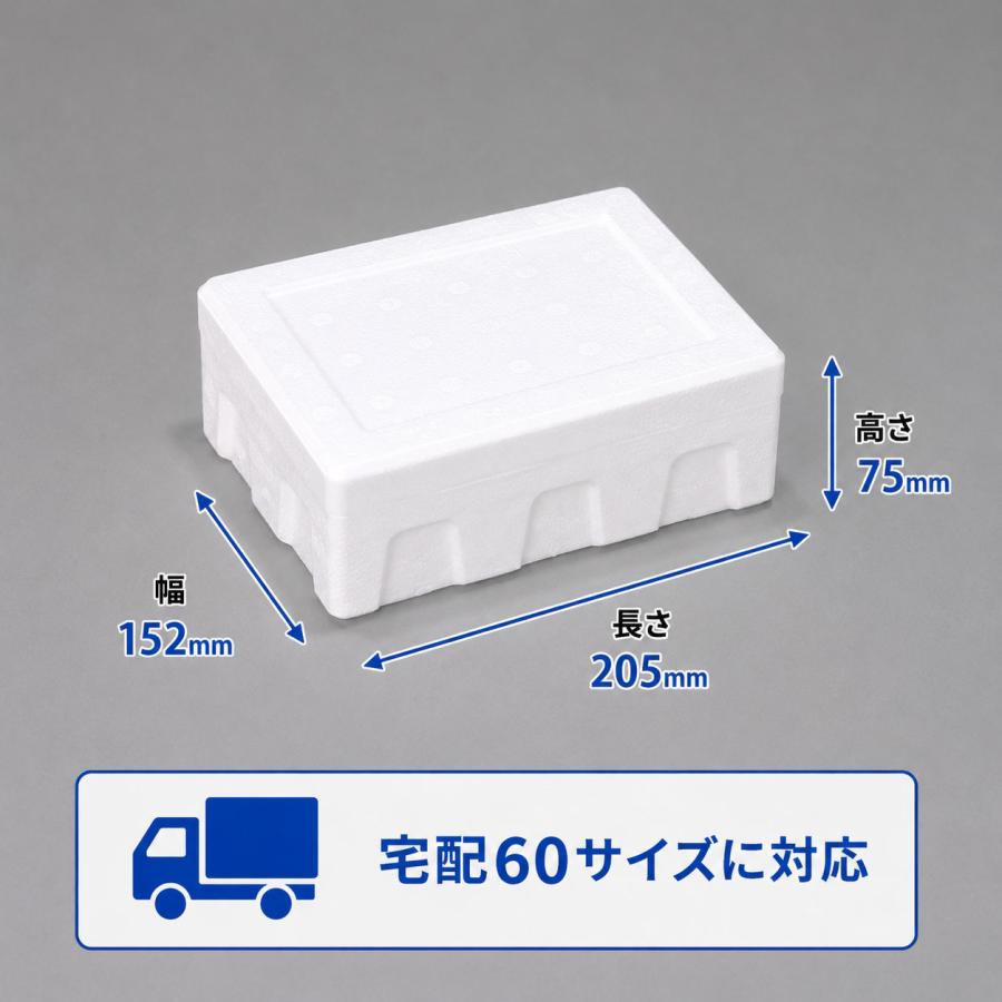 クーラーボックス 発泡スチロール箱 小型 通販 保冷 断熱 梱包材 軽量 0.7L 宅配60サイズ G-2 食材保管 宅配 発送用 | ブランド登録なし