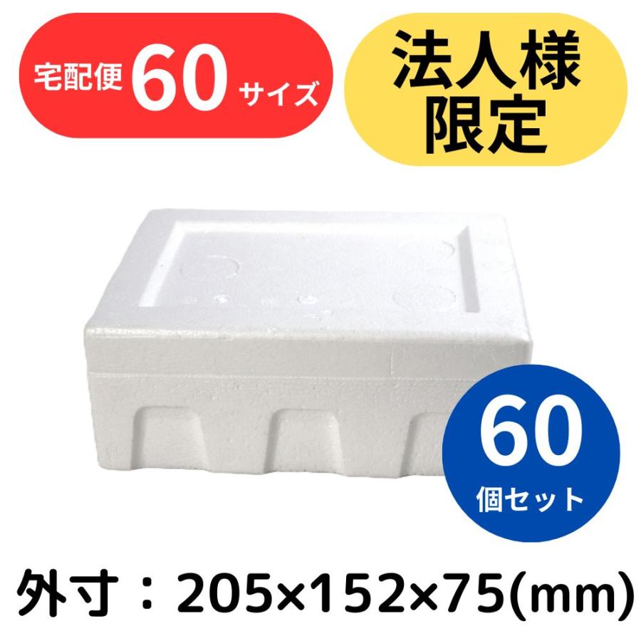 クーラーボックス 発泡スチロール箱 小型 60個セット 法人限定 まとめ買い 保冷 断熱 梱包材 食材保管 宅配 発送用 軽量 0.7L 宅配60サイズ G-2 | ブランド登録なし