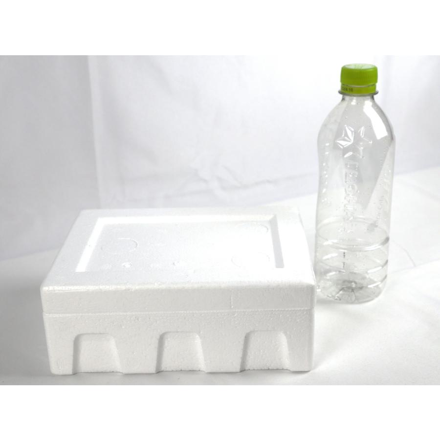クーラーボックス 発泡スチロール箱 小型 通販 保冷 断熱 梱包材 軽量 0.7L 宅配60サイズ G-2 食材保管 宅配 発送用 | ブランド登録なし | 02