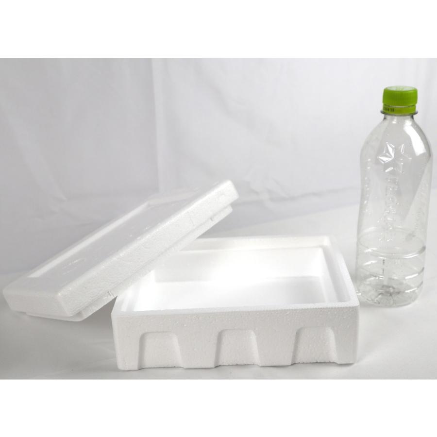 クーラーボックス 発泡スチロール箱 小型 通販 保冷 断熱 梱包材 軽量 0.7L 宅配60サイズ G-2 食材保管 宅配 発送用 | ブランド登録なし | 03
