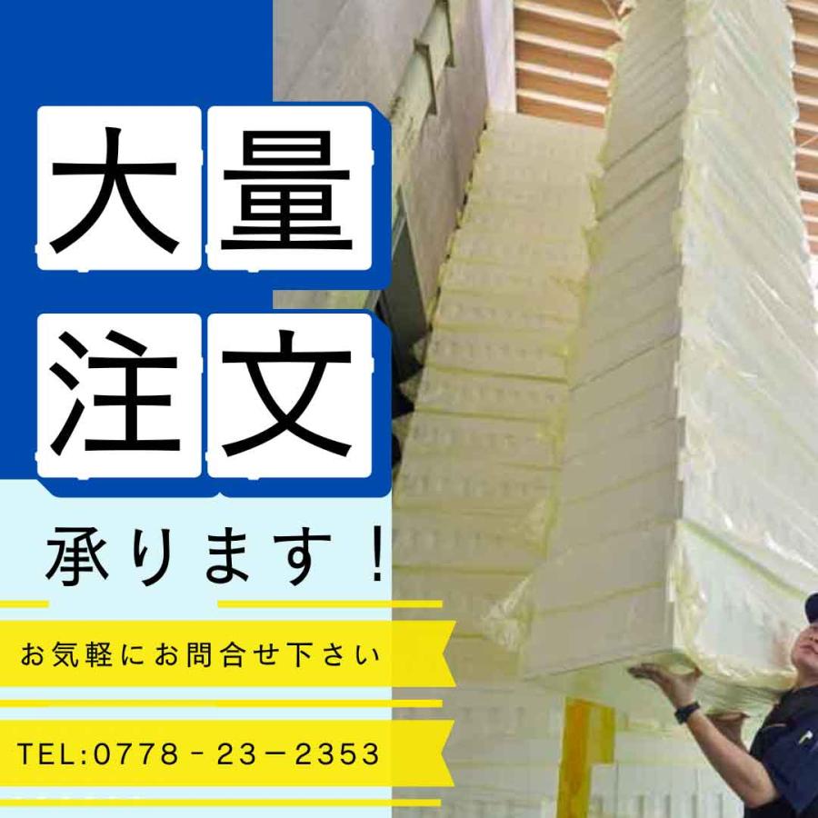 クーラーボックス 発泡スチロール箱 小型 通販 保冷 断熱 梱包材 軽量 0.7L 宅配60サイズ G-2 食材保管 宅配 発送用 | ブランド登録なし | 06
