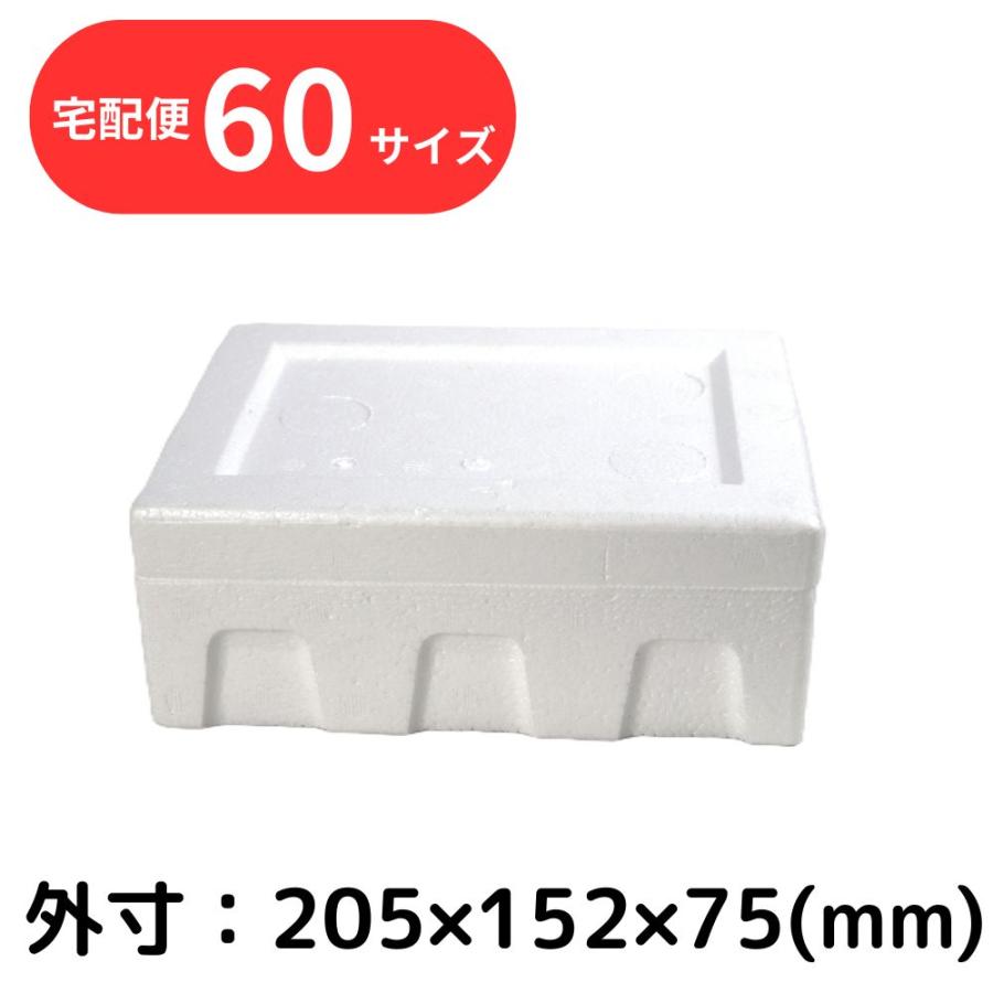 クーラーボックス 発泡スチロール箱 小型 通販 保冷 断熱 梱包材 軽量 0.7L 宅配60サイズ G-2 食材保管 宅配 発送用 | ブランド登録なし | 04