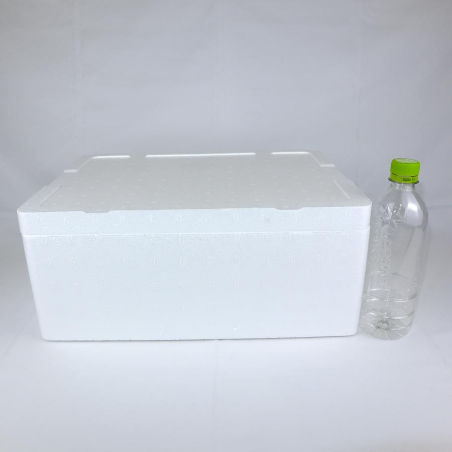 クーラーボックス 発泡スチロール箱 中型 通販 保冷 断熱 梱包材 軽量