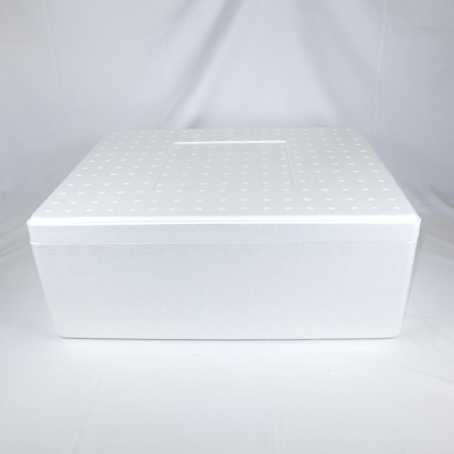 クーラーボックス 発泡スチロール箱 大型 通販 保冷 断熱 梱包材 軽量