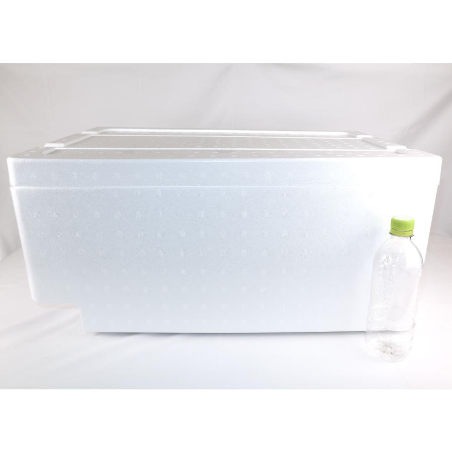 クーラーボックス 発泡スチロール箱 白色 金魚 熱帯魚 運搬 36L 宅配