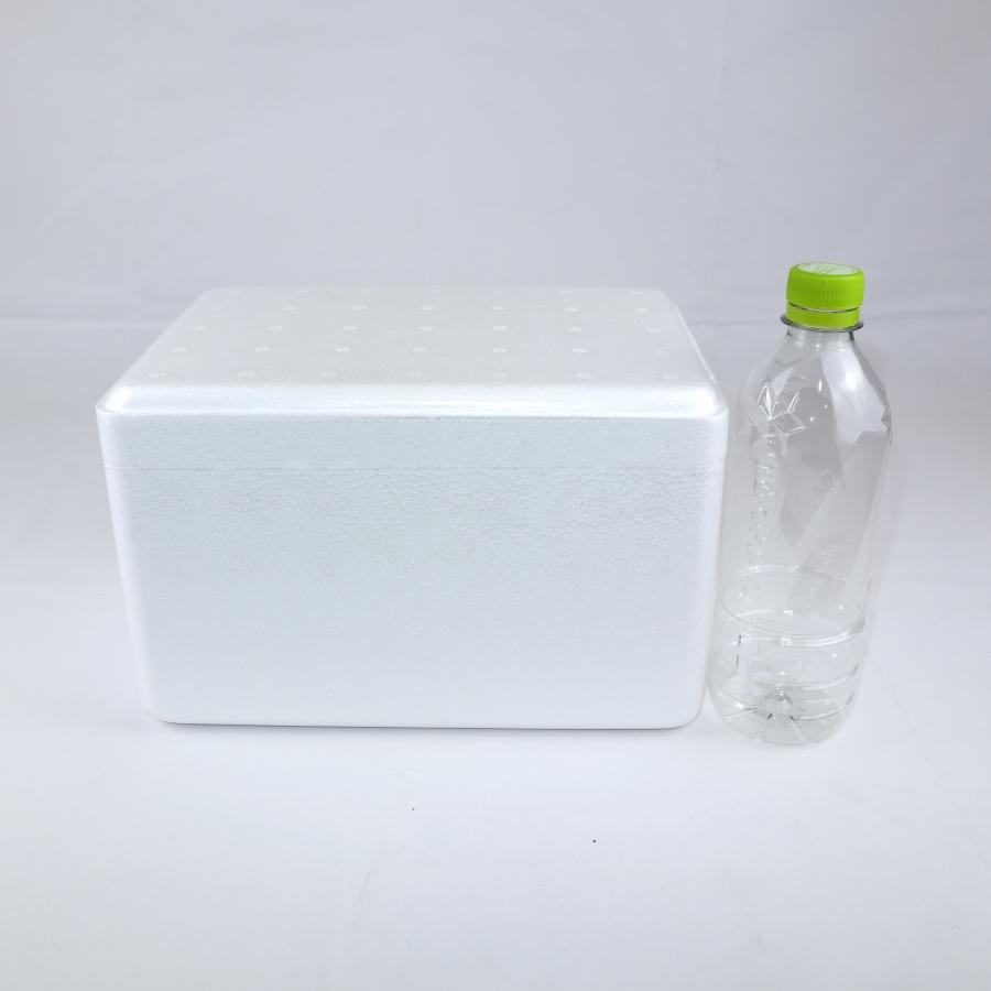 宅急便 発泡スチロール梱包 2重梱包 J8HB1 内寸300*175*60㎜の販売ページ| 発泡スチロール箱