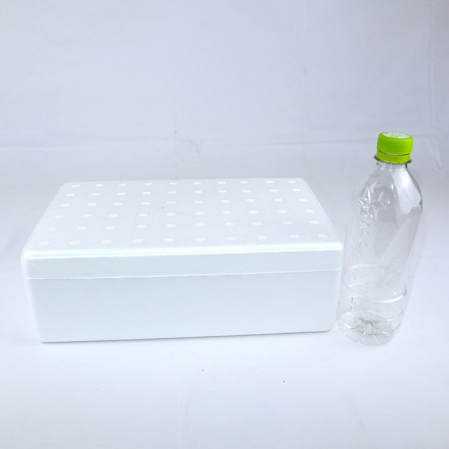 クーラーボックス 発泡スチロール箱 小型 30個セット 法人限定 まとめ買い 保冷 断熱 梱包材 食材保管 宅配 発送用 軽量 3.0L 宅配80サイズ TP-2の画像