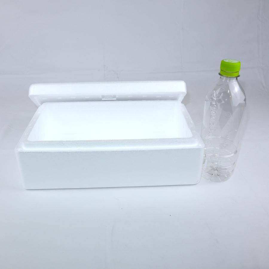 クーラーボックス 発泡スチロール箱 小型 30個セット 法人限定 まとめ買い 保冷 断熱 梱包材 食材保管 宅配 発送用 軽量 3.0L 宅配80サイズ TP-2の画像
