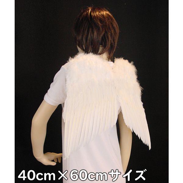 天使の羽根・悪魔の羽根　40cm×60cm｜epshop｜06