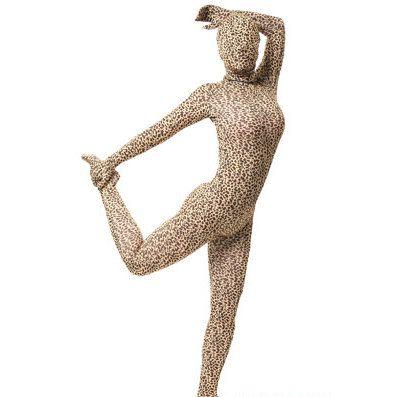 アートソン製 豹柄全身タイツ Pケース付き アートソン製 豹柄全身タイツ Pケース付き アートソン製 豹柄全身