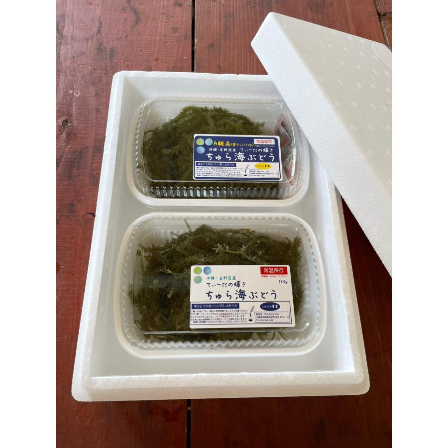 海ぶどう 鮮度抜群！やんばる産海ぶどう 特A品 300ｇ 産地直送 しそドレッシング付き |  | 02