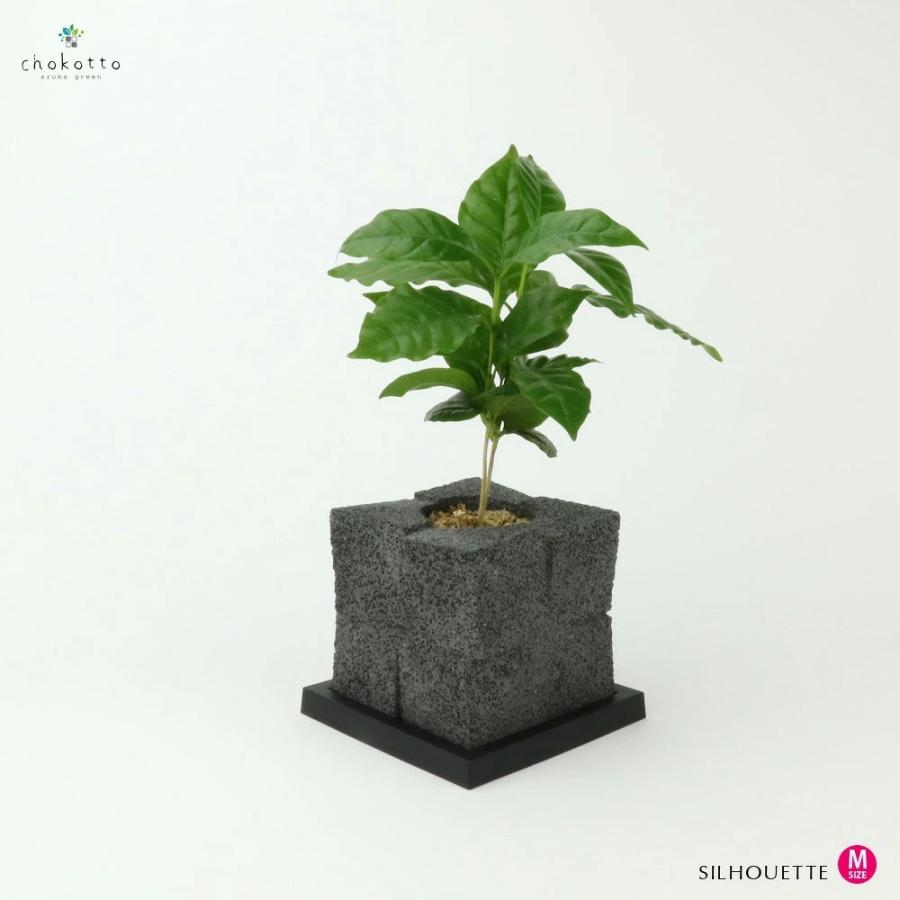 インテリアグリーン チョコット シルエット M Chokotto W Z Green 植物が選べます おしゃれ 観葉植物 サボテン 多肉植物 4625 選んで屋 通販 Yahoo ショッピング