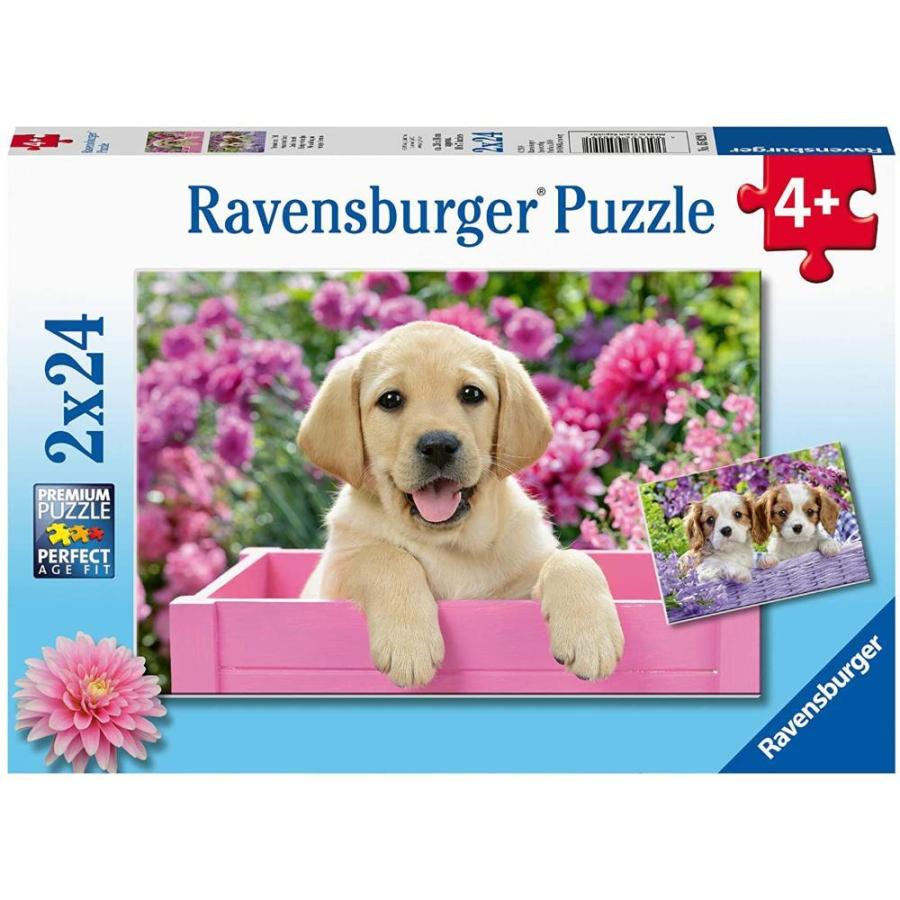 パズル 子供用 Ravensburger ラベンスバーガー トレインアドベンチャー Brioパズル