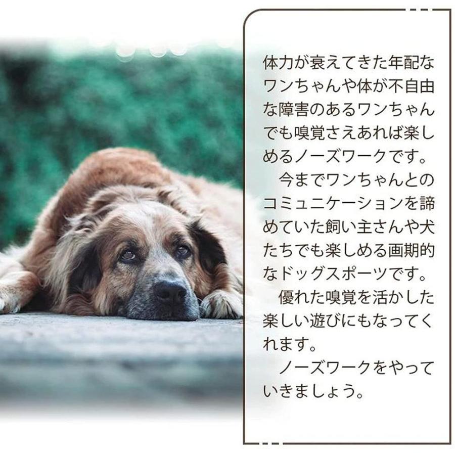 にんじん畑 犬 おもちゃ にんじん収穫隊 Ycyhhhwノーズワークマット 犬 知育玩具 ペット用品 犬用品 犬のおもちゃ 噛む 運動不足 ストレス Gys エレオルyahoo 店 通販 Yahoo ショッピング