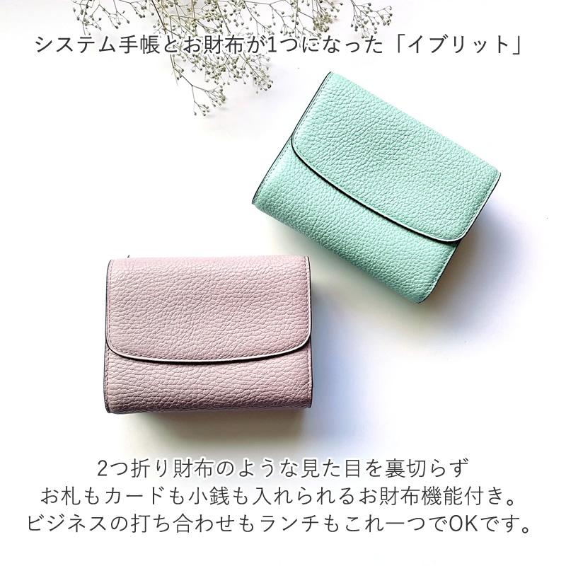 ブレイリオ システム手帳+財布 モルビド M5サイズ イブリット