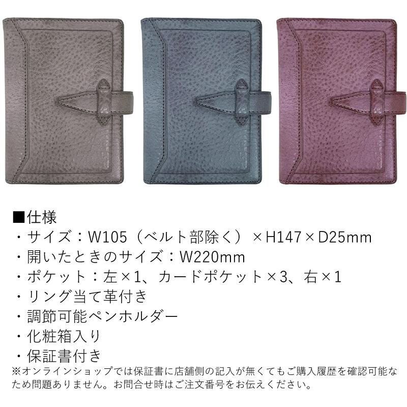 Roroma CLIMB A5サイズ　30mm 楽天市場】Davinci×NAGASAWA システム手帳 ロロマ クライム A5 30mm