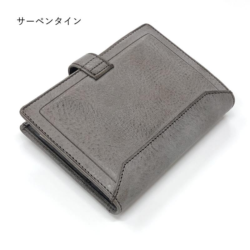 ロミさん専 Amazon.co.jp: 限定 ダ・ヴィンチグランデ ロロマクラシック