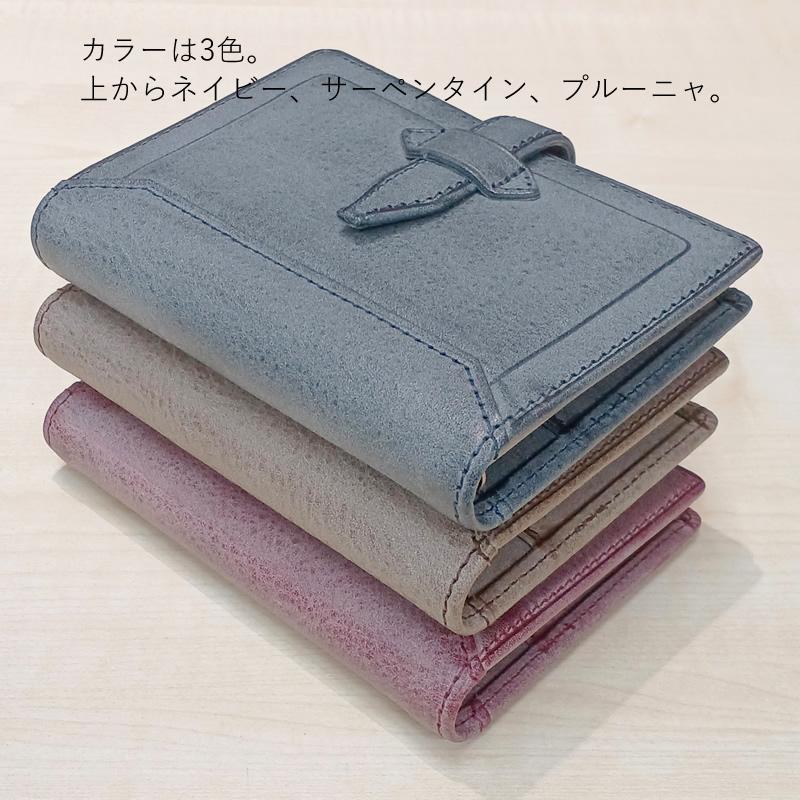 Davinci×NAGASAWA システム手帳 ロロマ クライム M5（マイクロ5