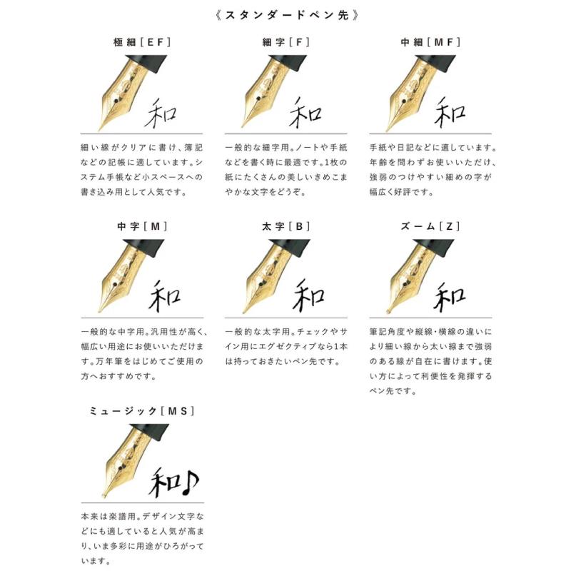 セーラー万年筆 プロフェッショナルギア金 万年筆 EF / F MF M B 21金