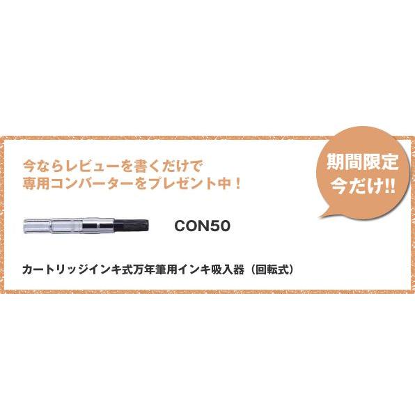 PILOT（パイロット） 木の温もりをショートサイズにした万年筆 LEGNO