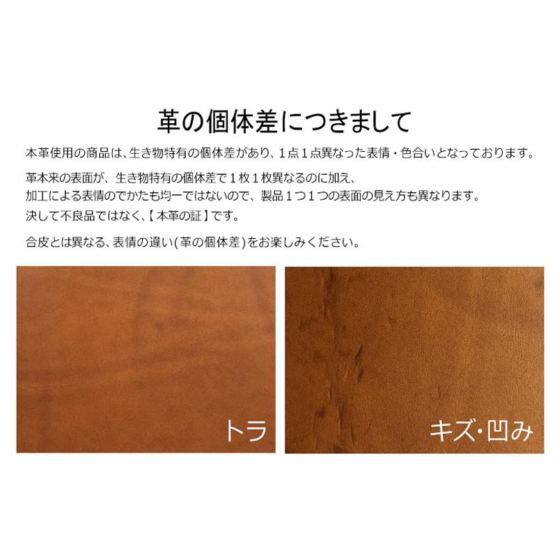 ノックス プロッター システム手帳 本革 リスシオ バイブルサイズ 6穴