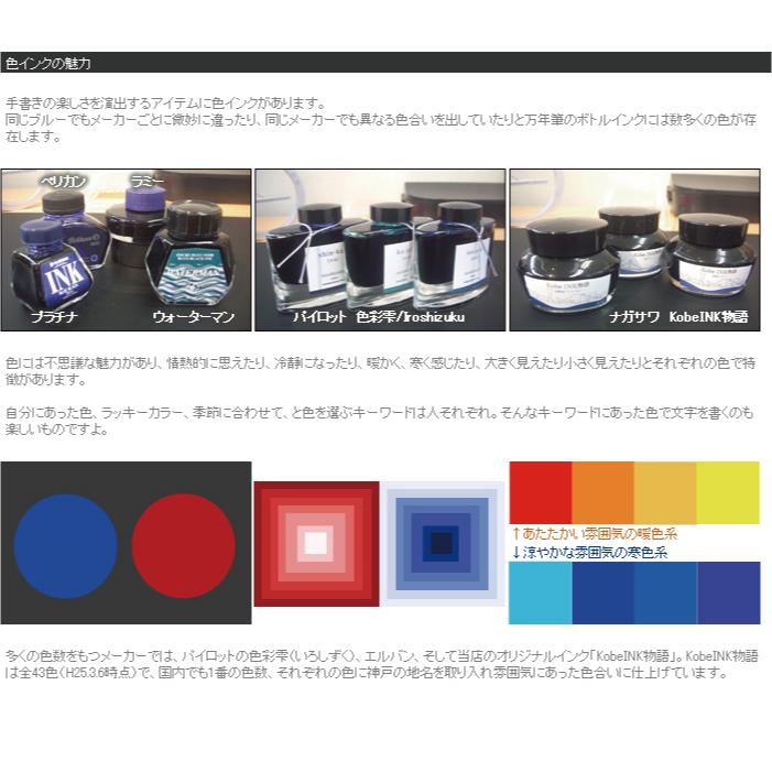 名入れ対象商品】NAGASAWA オリジナル万年筆 プロスケ EF/F/MF/M/B