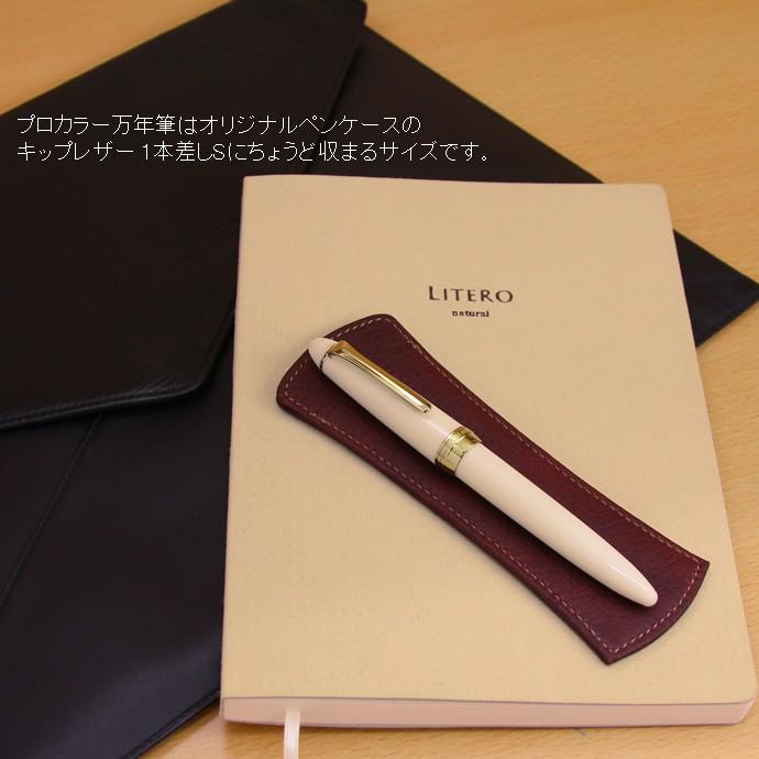 セーラー万年筆 【名入れ対象商品】NAGASAWA オリジナル万年筆 プロ