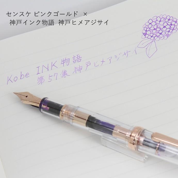 プラチナ万年筆 【名入れ対象商品】万年筆 ナガサワオリジナル