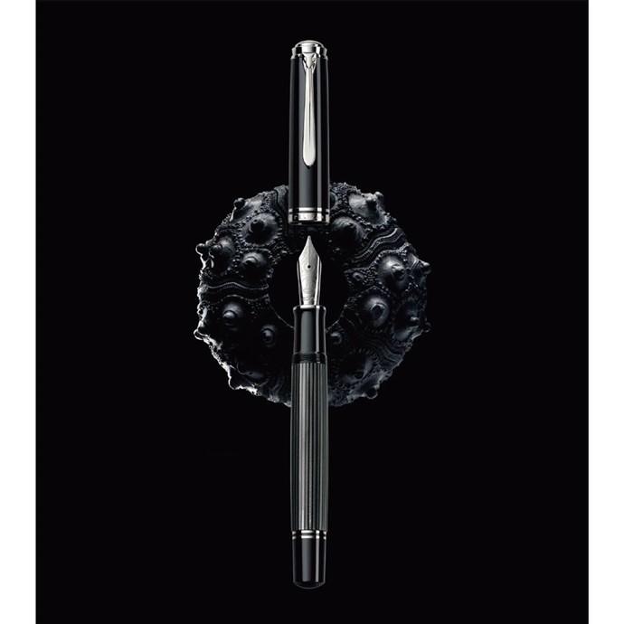 Pelikan（筆記具） ペリカン 万年筆 スーベレーン M1005