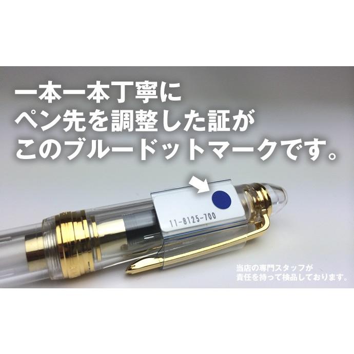 NAGASAWA オリジナル万年筆 プロフィット プロスケ＆神戸インク物語2色